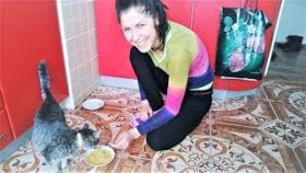 Смешные кошки коты и собаки До Слез Как мы кушаем Просто ржака Приколы с животными 2017 Топ Подборка