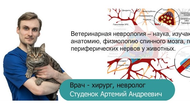 Открыть в полный размер
