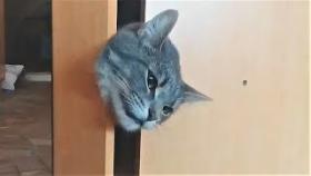 Когда застрял, но хозяин обязательно поможет