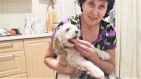 Собаки которые просто обожают сосиски