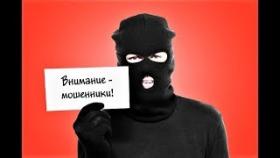 AmirCapital / Команда фонда / Мошенники? часть 2