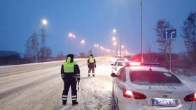 Госавтоинспекция региона призывает водителей к повышенной бдительности в связи с обильным снегопадом и ухудшением видимости на дорогах