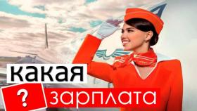 Сколько зарабатывает стюардесса?