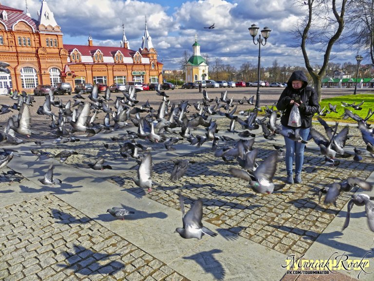 Открыть в полный размер