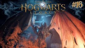 Hogwarts Legacy Прохождение ►СПАСЕНИЕ ДРАКОНА ►#16