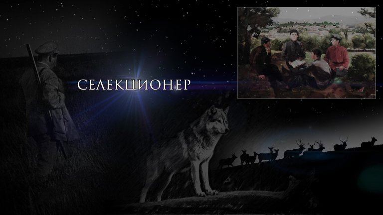 Открыть в полный размер
