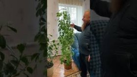 Агентство недвижимости Дом Кубани ст. Каневская ул. Таманская 124