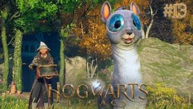 ЛОВЛЯ ПОКЕМОНОВ ►Hogwarts Legacy ►Прохождение #13