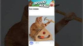Приколы и мемы с котами на 8 декабря 2022