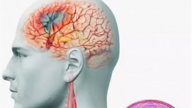 Как болезни головного мозга влияют на потенцию?