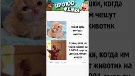Короткие мемы про котиков на 22 февраля
