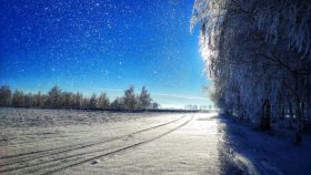 Сообщество фанатов съемки на смартфон. ТРИДЦАТАЯ подборка