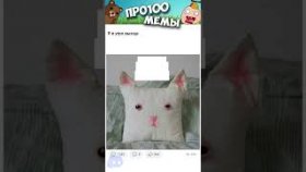 Котики и не только на 19 января 2023