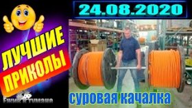 Ёжик в Тумане ПРИКОЛЫ из Инстаграма 2020 / COUB BEST 2020 / КУБ/ CUBE / КОУБ АВГУСТ 2020