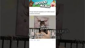 Мемы и короткие приколы про котиков на 20 февраля