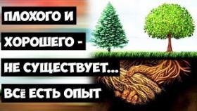 Плохого и Хорошего - Не существует...Всё есть Опыт