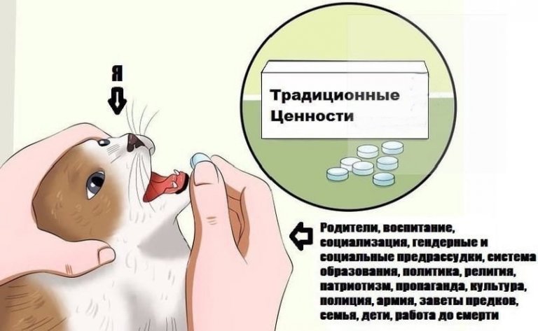 Открыть в полный размер