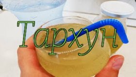 Тархун/эстрагон. Домашний рецепт освежающего лимонада