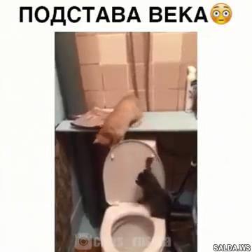 Открыть в полный размер