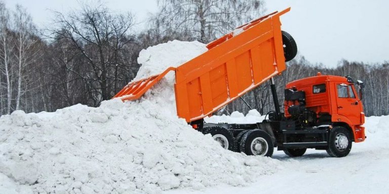 Открыть в полный размер