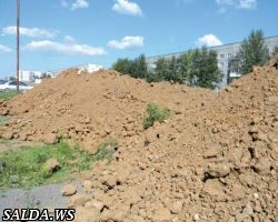 Ёлочки под грудой глины