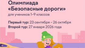 Госавтоинспекция Свердловской области информирует о старте Всероссийской онлайн-олимпиады «Безопасные дороги»