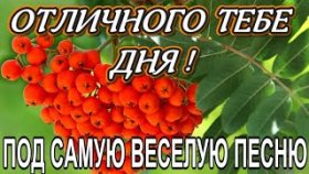 Пожелание Хорошего Дня под Красивую, Веселую Песню !