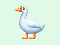 Фото пользователя alisaf1latova07