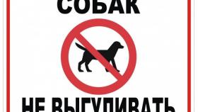 Выгул собак запрещен!