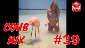 Подборка видео приколов №39