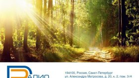 Как средства радиосвязи помогают работникам лесной промышленности