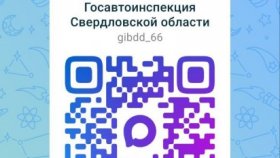 Госавтоинспекция Свердловской области открыла новый канал для оперативного информирования в «МАХ»