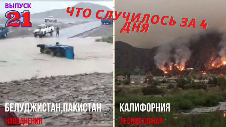 Открыть в полный размер