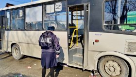 ����������������&nbsp; ����������� ��������� ��� � �����������, � ������� ���������� ������������������ �������-�������