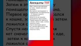 Анекдот про кошку