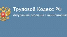 Что делать, если работодатель не платит зарплату?