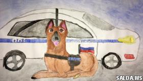 Полицейские Верхней Салды подвели итоги конкурса рисунков «Полиция глазами детей»