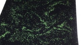 Резиновая плитка: характеристики и сферы использования