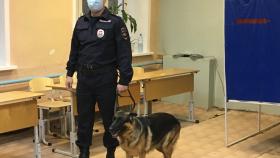 Во Всероссийский день выборов 1 июля службу по охране общественного порядка на избирательных участках будут нести более 90 сотрудников полиции