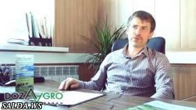 Неправильное поение коров сказывается на их продуктивности.