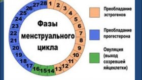 Как правильно рассчитать менструальный цикл и что на него влияет
