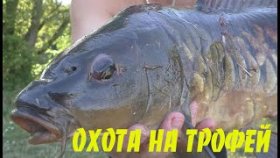 ПОДВОДНАЯ ОХОТА - ВЗЯЛ ХОРОШИЙ ТРОФЕЙ. Жаркое на костре