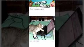 Короткие приколы и мемы  с озвучкой на   26 декабря