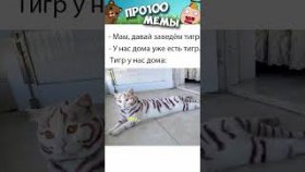 Короткие приколы и мемы с озвучкой на 1 января
