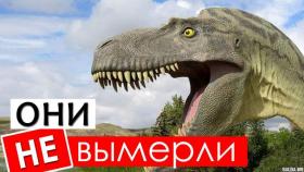 Почему НЕ вымерли динозавры?