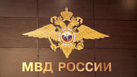 Ирина Волк: Показатель раскрываемости убийств и покушений на убийство в Российской Федерации достиг исторического максимума