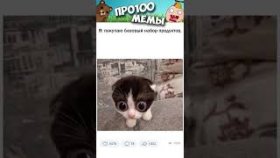 Котики и очень короткие мемы с ними на 21 февраля 2023