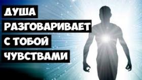 Душа Разговаривает с Тобой Чувствами