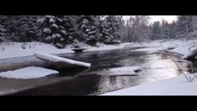 Линдуловская роща. Съемка на смартфон