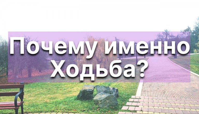 Открыть в полный размер